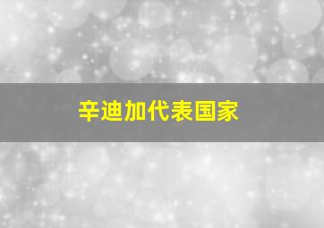 辛迪加代表国家