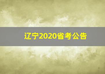 辽宁2020省考公告