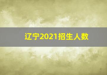 辽宁2021招生人数