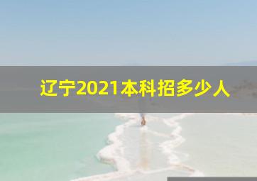 辽宁2021本科招多少人