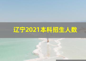 辽宁2021本科招生人数