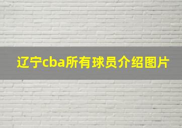 辽宁cba所有球员介绍图片