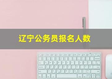 辽宁公务员报名人数