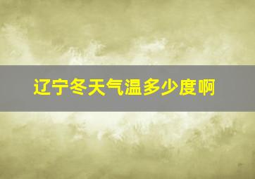 辽宁冬天气温多少度啊