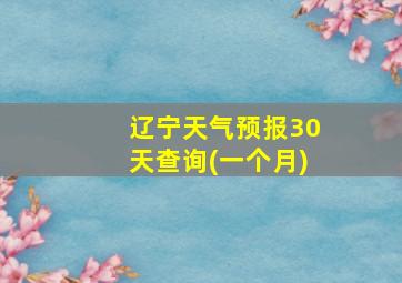 辽宁天气预报30天查询(一个月)