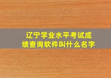 辽宁学业水平考试成绩查询软件叫什么名字