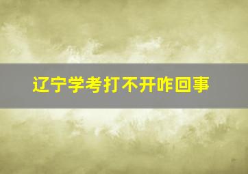 辽宁学考打不开咋回事