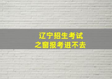 辽宁招生考试之窗报考进不去