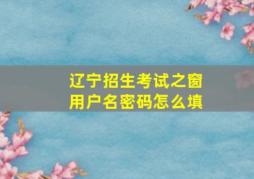 辽宁招生考试之窗用户名密码怎么填