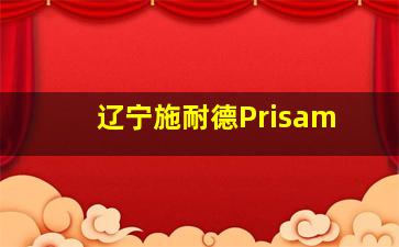 辽宁施耐德Prisam