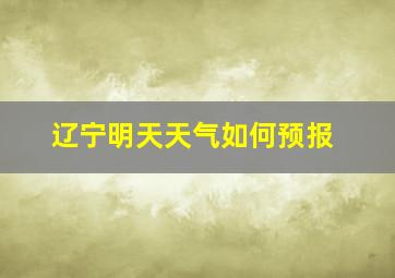 辽宁明天天气如何预报