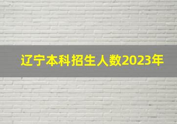 辽宁本科招生人数2023年