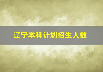 辽宁本科计划招生人数