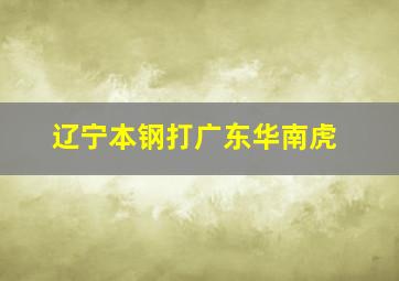 辽宁本钢打广东华南虎