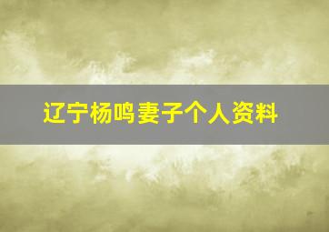 辽宁杨鸣妻子个人资料