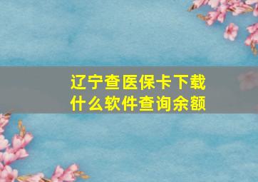 辽宁查医保卡下载什么软件查询余额