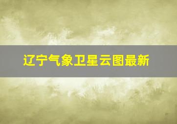 辽宁气象卫星云图最新