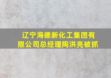 辽宁海德新化工集团有限公司总经理陶洪亮被抓