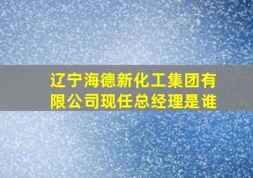 辽宁海德新化工集团有限公司现任总经理是谁