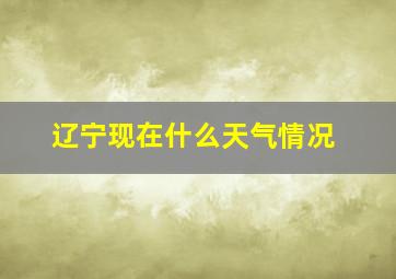 辽宁现在什么天气情况