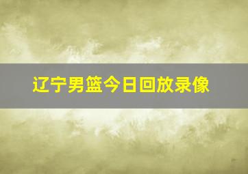 辽宁男篮今日回放录像