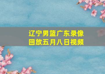 辽宁男篮广东录像回放五月八日视频