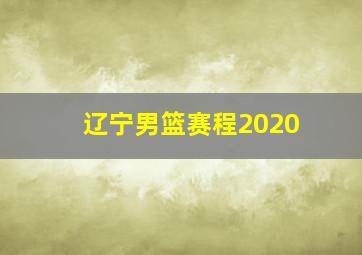 辽宁男篮赛程2020