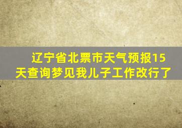 辽宁省北票市天气预报15天查询梦见我儿子工作改行了