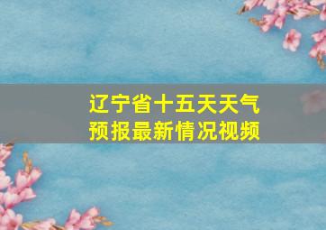 辽宁省十五天天气预报最新情况视频