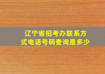 辽宁省招考办联系方式电话号码查询是多少