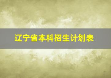 辽宁省本科招生计划表