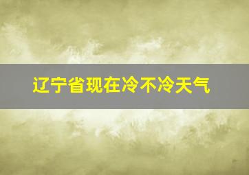 辽宁省现在冷不冷天气