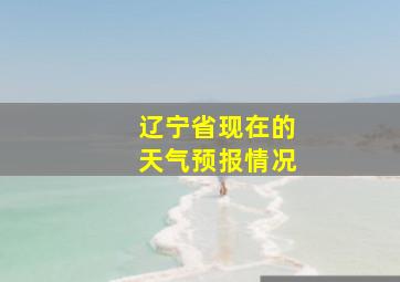 辽宁省现在的天气预报情况