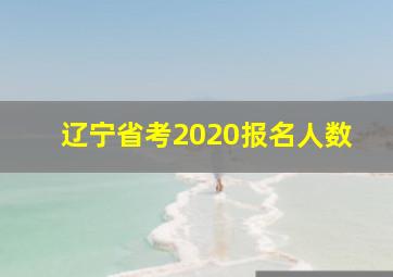 辽宁省考2020报名人数