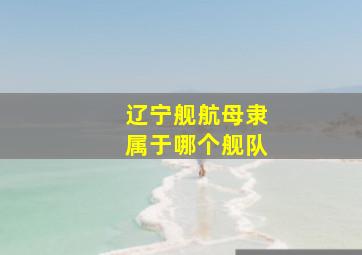 辽宁舰航母隶属于哪个舰队