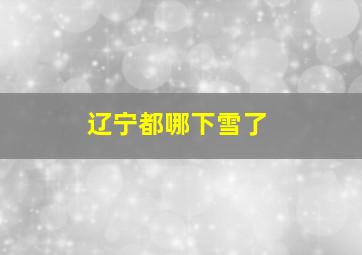 辽宁都哪下雪了