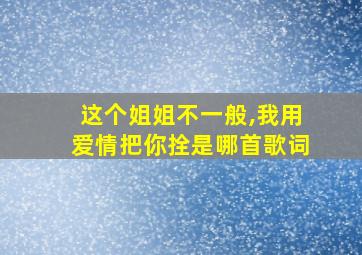 这个姐姐不一般,我用爱情把你拴是哪首歌词