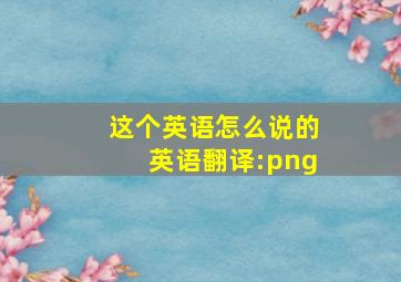 这个英语怎么说的英语翻译:png