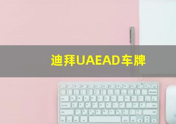 迪拜UAEAD车牌