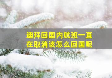 迪拜回国内航班一直在取消该怎么回国呢