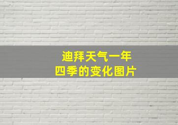 迪拜天气一年四季的变化图片