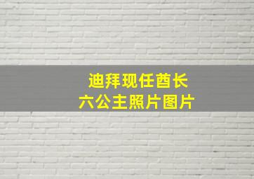 迪拜现任酋长六公主照片图片