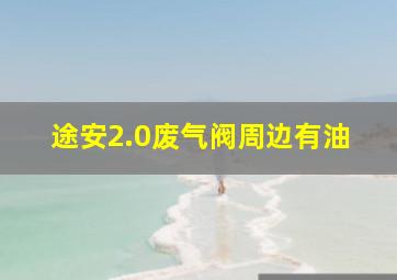 途安2.0废气阀周边有油