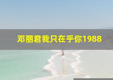 邓丽君我只在乎你1988