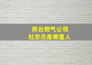 邢台燃气公司杜忠杰是哪里人