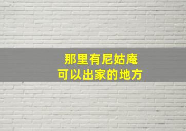 那里有尼姑庵可以出家的地方