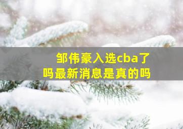 邹伟豪入选cba了吗最新消息是真的吗