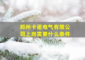 郑州卡诺电气有限公司上岗需要什么条件