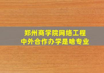 郑州商学院网络工程中外合作办学是啥专业