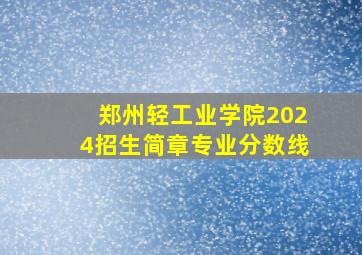 郑州轻工业学院2024招生简章专业分数线